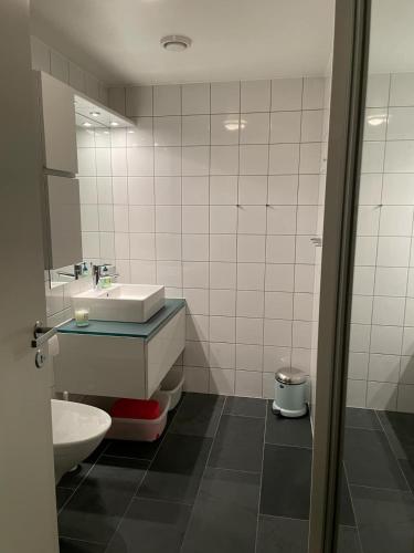 a bathroom with a sink and a toilet at Leisure apartment at Sinnes in Haugen