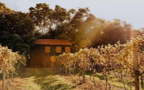 Jardín al aire libre en Arroyo & Grapes