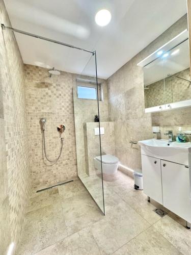 a bathroom with a shower and a toilet and a sink at Luxury Apartments Przno in Budva