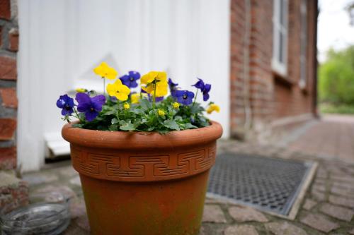 Foto dalla galleria di Ferienwohnungen Alte Schule Klintum a Leck