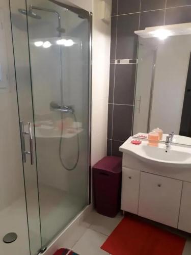 une salle de bain avec une douche en verre et un lavabo dans l'établissement Appartement accueillant à Saint-Jean-Pied-de-Port, 69 m², à Saint-Jean-Pied-de-Port