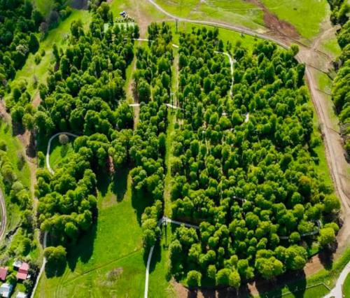 Φυσικό τοπίο κοντά σε αυτό το διαμέρισμα
