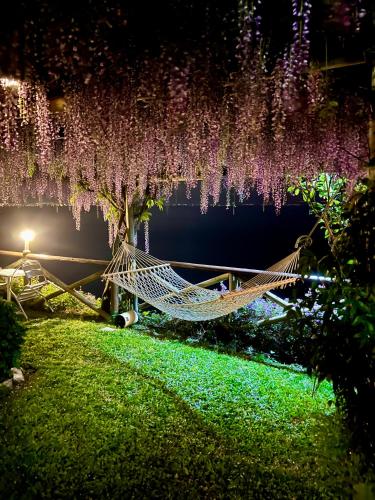 B&B Il Pavoneにある庭