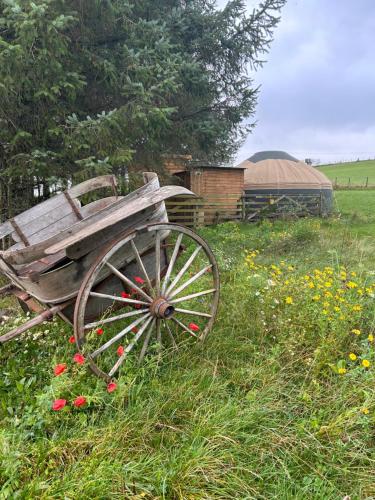 a wooden cart sitting in a field of flowers at Bracken Barns Glamping & Massage in Minishant