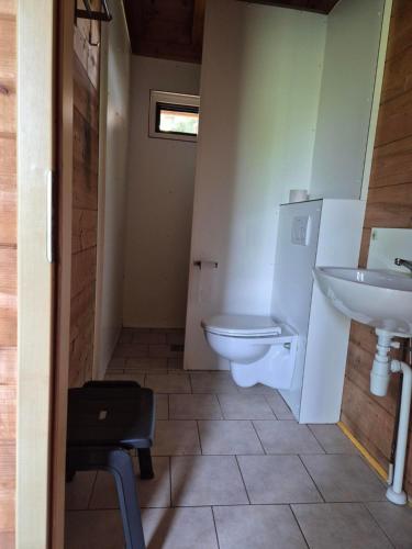 a bathroom with a toilet and a sink at Vakantie boerderij Pepinushof - Blokhut in Maria-Hoop
