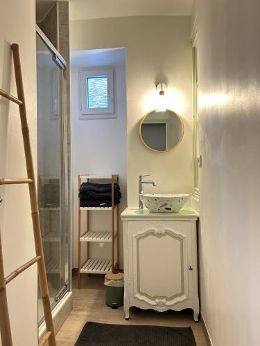 une salle de bain avec un lavabo et une douche dans l'établissement Appartement de charme du 16ème siècle, à Ménétréol-sous-Sancerre