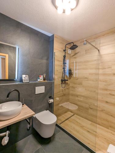 a bathroom with a shower and a toilet and a sink at Rare, quite & centered Apartment with Garden & Fireplace in Villars-sur-Ollon
