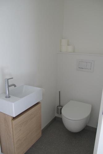 a bathroom with a white sink and a toilet at B&B Zoersel in Zoersel