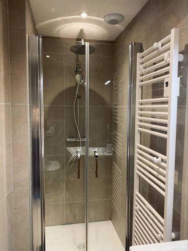 une douche avec une porte vitrée dans une salle de bain dans l'établissement Le Nid des Sœurs Macarons, à Nancy