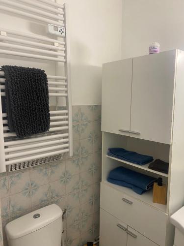 La salle de bains est pourvue de toilettes et d'une armoire blanche. dans l'établissement Studio 29 Nice Magnan, à Nice