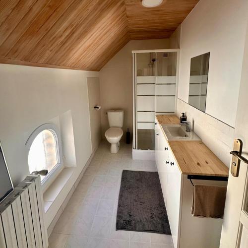 une petite salle de bain avec toilettes et lavabo dans l'établissement Havre de paix 1h30 de Paris, à Champigny-sur-Yonne