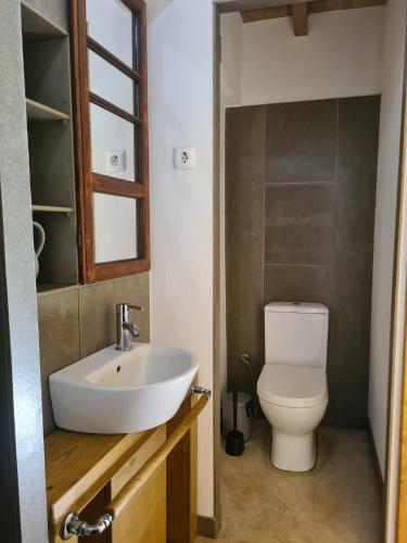 a bathroom with a white sink and a toilet at Quinta dos Millagres Studio Apartment in Friumes