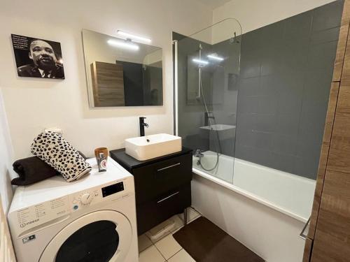 une salle de bain avec une machine à laver et un lavabo dans l'établissement Large apartment in Old Lille, balcony, secure parking, à Lille