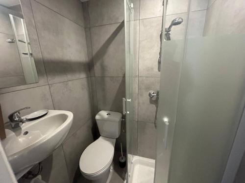 une salle de bain avec toilettes, lavabo et douche dans l'établissement Nice Signature Assalit Studio, à Nice