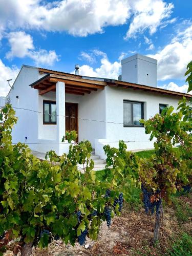 a white house with trees in front of it at Finca Rosablanca in Tunuyán