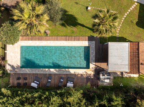 une vue aérienne d'une piscine avec des palmiers dans l'établissement Beautiful 300 m2 Villa, Big Pool, 3000m2 garden, à Mouans-Sartoux