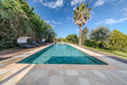 une piscine à débordement avec des chaises et un palmier dans l'établissement Beautiful 300 m2 Villa, Big Pool, 3000m2 garden, à Mouans-Sartoux