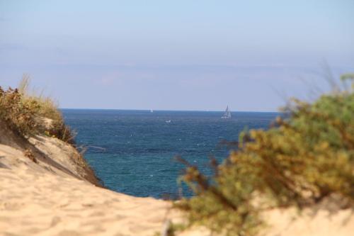 Afbeelding uit fotogalerij van La clé des chênes in Labenne