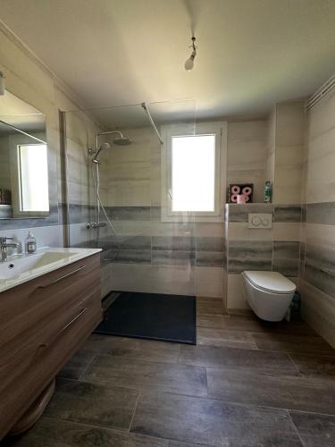 une salle de bain avec une douche, des toilettes et un lavabo dans l'établissement Le Grand Tissac Maison dans le Quercy, à Cazes-Mondenard