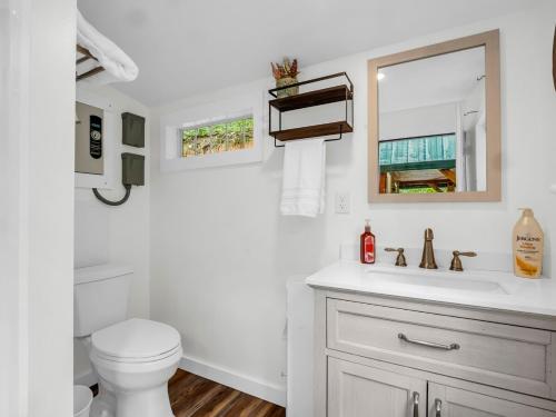 a bathroom with a toilet and a sink and a mirror at Romantic King-Bed Couples Cabin Lake Lure in Lake Lure