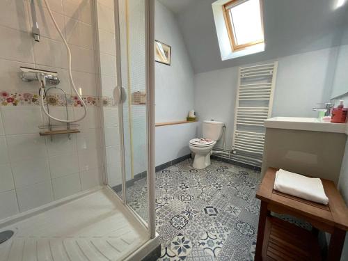 une salle de bain avec douche et toilettes dans l'établissement gîte des martinets and its corner of greenery, à Amboise
