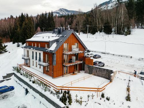 Apartment Dolní Morava-4 by Interhome v zimě