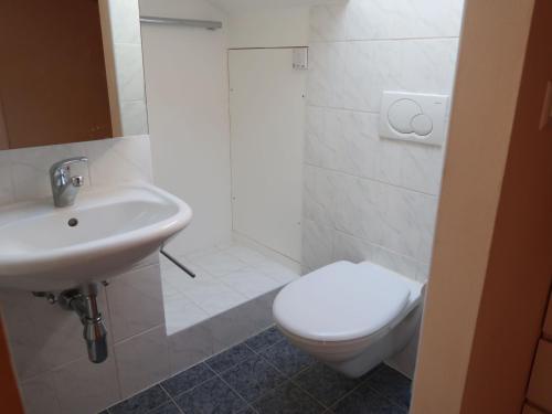 a bathroom with a white toilet and a sink at Chalet Sozi by Interhome in Le Châtelard-Montreux