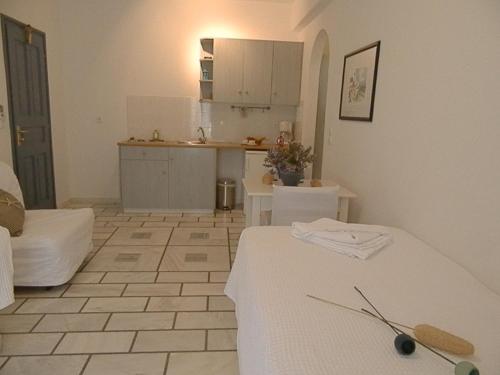 Fotografie z fotogalerie ubytování Nissiotiko Studios & Apartments v destinaci Drios