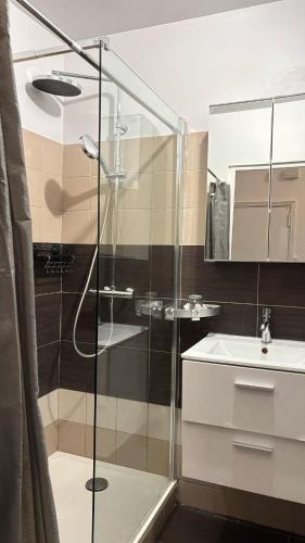 une salle de bain avec une douche en verre et un lavabo dans l'établissement jolie appartement à la joliette, à Marseille