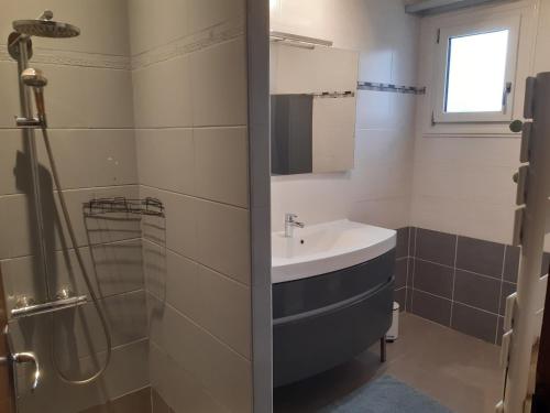 une salle de bain avec un lavabo et une douche dans l'établissement Maison 8 personnes, à Mézos