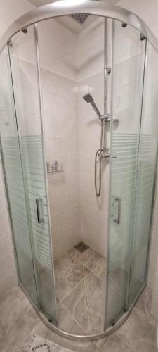 a shower with a glass door in a bathroom at Japoński domek MITAKO in Nobliny
