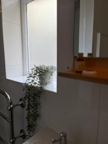 Old Palace Guest House photo 50