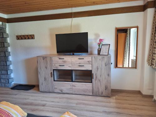a television on a wooden cabinet in a living room at Haus Sprenger in Häselgehr