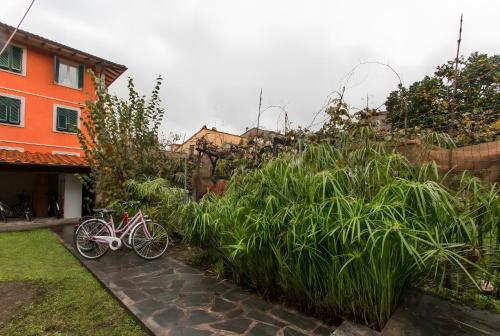 Taman di luar Palazzo Ferretti - Pietrasanta