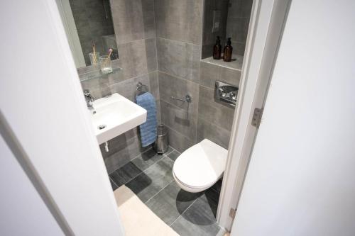a bathroom with a toilet and a sink at Cork Street in Dublin in Dublin