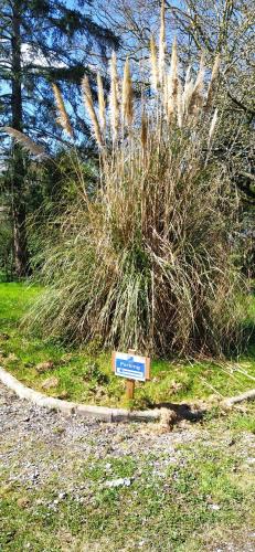 a sign in front of some tall grass at L'Ecureuil Gourmand, chambre d'hôtes en Anjou Bleu in Saint-Martin-du-Bois