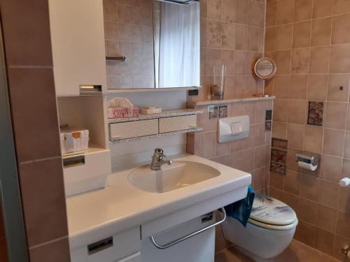a bathroom with a sink and a toilet at Ferienwohnung Mühlengrün in Oberwolfach