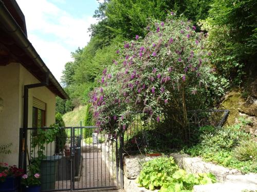 a tree with purple flowers growing next to a gate at Ferienwohnung Mühlengrün in Oberwolfach