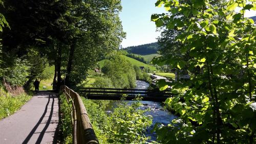 a bridge over a river next to a road at Ferienwohnung Mühlengrün in Oberwolfach