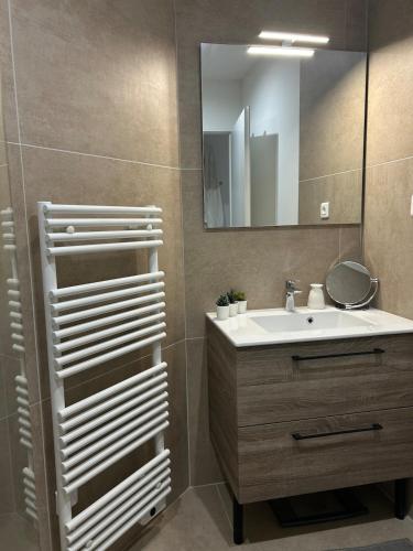 une salle de bain avec un lavabo et un miroir dans l'établissement Bas de villa au calme absolu, à La Crau