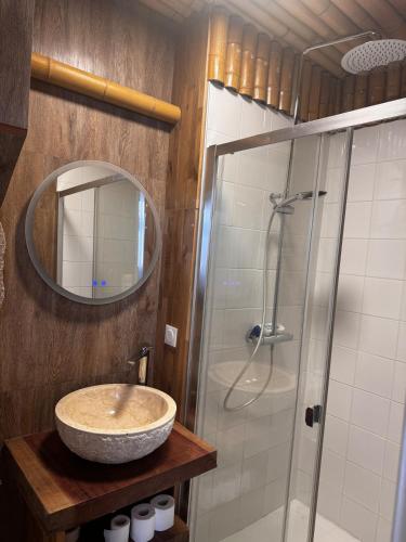 a bathroom with a sink and a shower at Appartement jungle in Moulins
