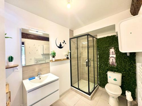 un bagno con doccia, WC e lavandino di Studio Sencha, Lit 160, Clim, plein coeur de ville a Nîmes