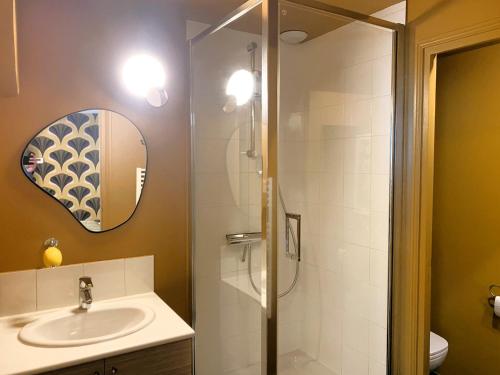 ein Badezimmer mit Dusche, Waschbecken und Spiegel in der Unterkunft Appartement de charme au cœur du centre historique in Tours
