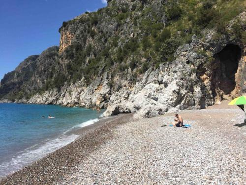Natuurlandschap vlak bij het appartement