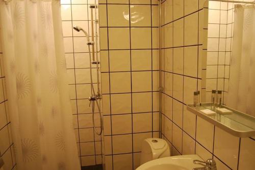 a bathroom with a shower and a toilet and a sink at Vilan I Orbaden in Vallsta