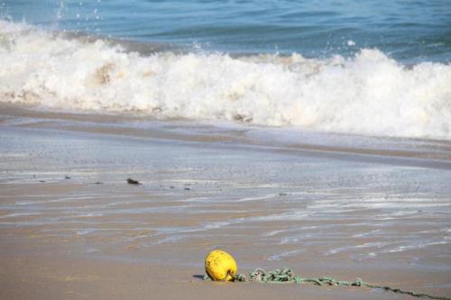 a beach with a ball in the sand and the ocean at The house of the guardians of the Ocean with spa - gite plougonvelin in Plougonvelin
