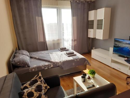 a bedroom with a bed and a couch and a tv at LUX apartament in Warsaw
