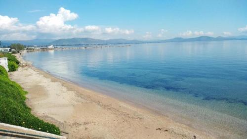 a view of a beach and the ocean at The Painter's Garden, Walk to Sea, Onsite Parking in Nea Makri