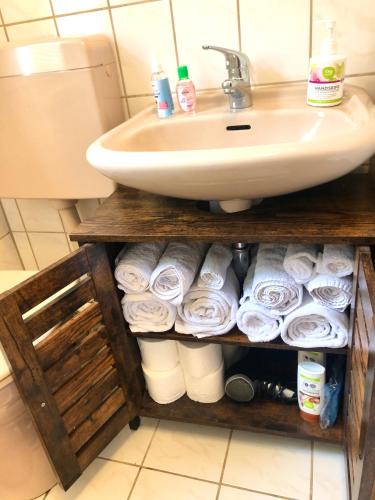 a bathroom with a sink and a bunch of toilet paper at Hundeurlaub - Tiny House im Wald in Tanna