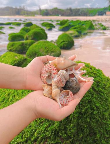 a hand holding a group of donuts and seashells at Santa Fe House - Gành Đá Đĩa in Phú Hạnh (5)